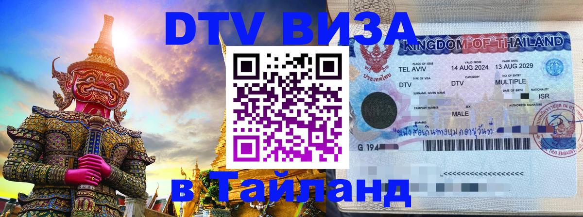 Сколько стоит DTV виза — актуальные цены, оформление даже без документов - Тирана  05.12.2025 